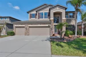 11406 Estuary Preserve Dr, RIVERVIEW 11406 Estuary Preserve Dr, RIVERVIEW