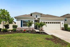 8245 Olive Brook Dr, WESLEY CHAPEL