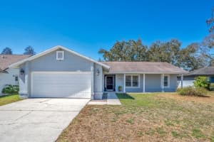 6704 Seafairer Dr, TAMPA