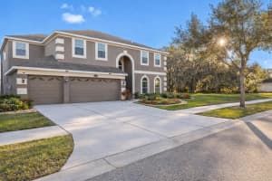 10744 Breaking Rocks Dr, TAMPA