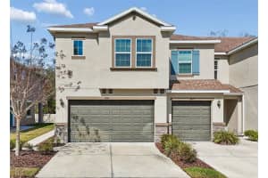6867 Citrus Creek Ln, TAMPA