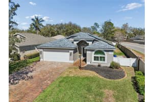 3301 Black Gum Ct, TAMPA