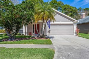 9739 Fredericksburg Rd, TAMPA