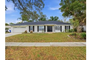 13317 Lake George Ln, TAMPA