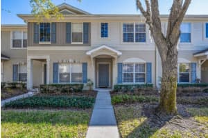 15855 Fishhawk View Dr, LITHIA