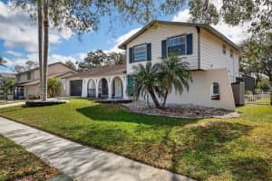 4628 Cloverlawn Dr, TAMPA