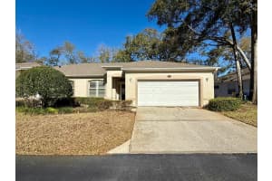 8530 Alexandra Arbor Ln, TEMPLE TERRACE