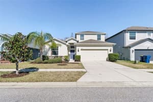 3833 Tuckerton Dr, LAND O LAKES