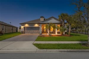 8184 Olive Brook Dr, WESLEY CHAPEL