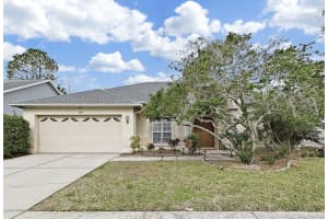 9630 Fox Hearst Rd, TAMPA
