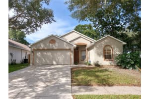 1414 Trail Boss Ln, BRANDON