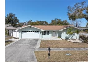 101 Chestnut Cir, SAFETY HARBOR 101 Chestnut Cir, SAFETY HARBOR