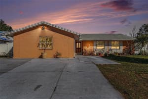 6807 Dickinson Ct, TAMPA