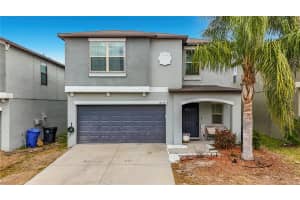 12728 Lemon Pepper Dr, RIVERVIEW