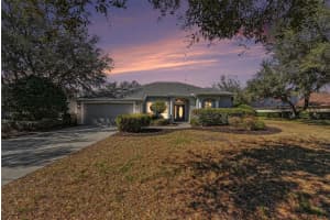 12251 Creek Edge Dr, RIVERVIEW