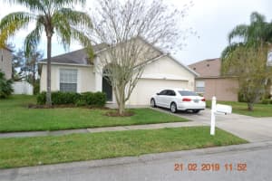 10514 Beneva Dr, TAMPA
