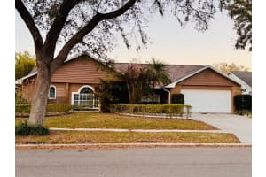 16713 Ne Sheffield Park Dr, St, LUTZ