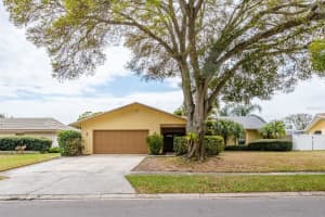 2825 Long View Dr, CLEARWATER