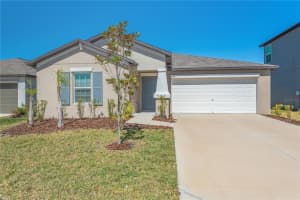 5174 Fiddle Fig Ave, WIMAUMA