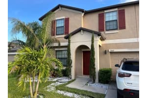 10162 Carloway Hills Dr, WIMAUMA