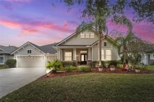 8522 Westerland Dr, LAND O LAKES