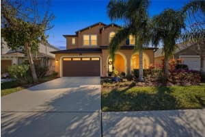 3608 Shadow Arbor Way, LUTZ