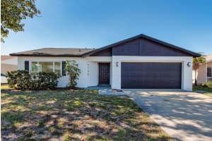 4708 Cypress Ridge Pl, TAMPA