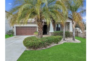 12203 Ballentrae Forest Dr, RIVERVIEW