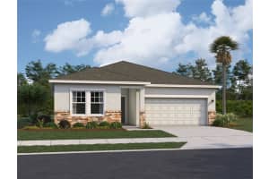 14489 Italy Ave, DADE CITY