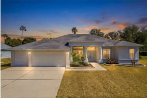 14044 Andrew Scott Rd, SPRING HILL