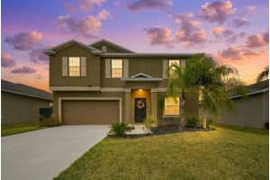 4910 Babbling Brook Ln, WIMAUMA