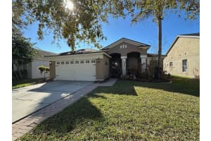 5541 Dark Star Loop, WESLEY CHAPEL