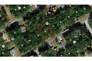 509 W Dandee Pl, CITRUS SPRINGS