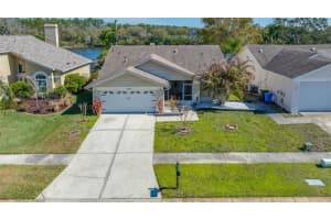 8713 Imperial Ct, TAMPA