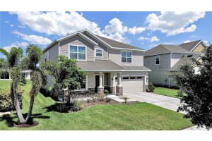 8307 Olive Brook Dr, WESLEY CHAPEL