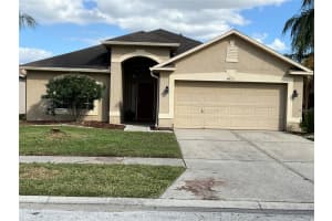 8625 Manassas Rd, TAMPA