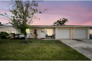 1055 Loch Haven Dr S, DUNEDIN