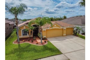 31244 Crestmont Ct, WESLEY CHAPEL