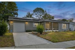 10407 Larissa St, ORLANDO