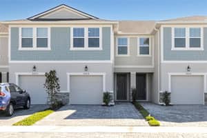 26046 Woven Wicker Bnd, LUTZ