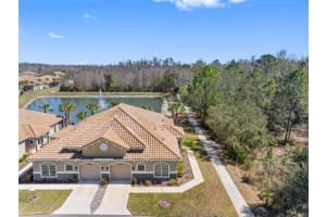 29800 Anand Vihar Dr, WESLEY CHAPEL