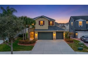 3963 Empoli Ct, WESLEY CHAPEL