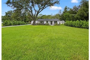 12308 N 53rd St, TEMPLE TERRACE