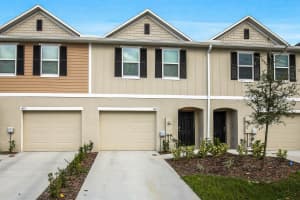 4713 Trout Lily St, TAMPA