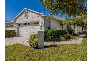 11341 Cambray Creek Loop, RIVERVIEW