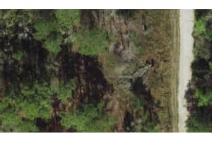 Powell St, NEW PORT RICHEY