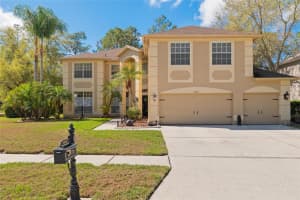 4202 Rotherham Ct, PALM HARBOR