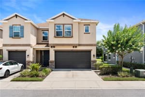 6711 Rocky Park St, TAMPA