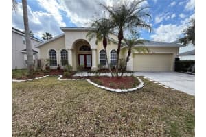 8132 Brinegar Cir, TAMPA
