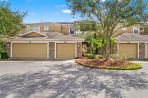 8103 Stone Leaf Ln, TAMPA